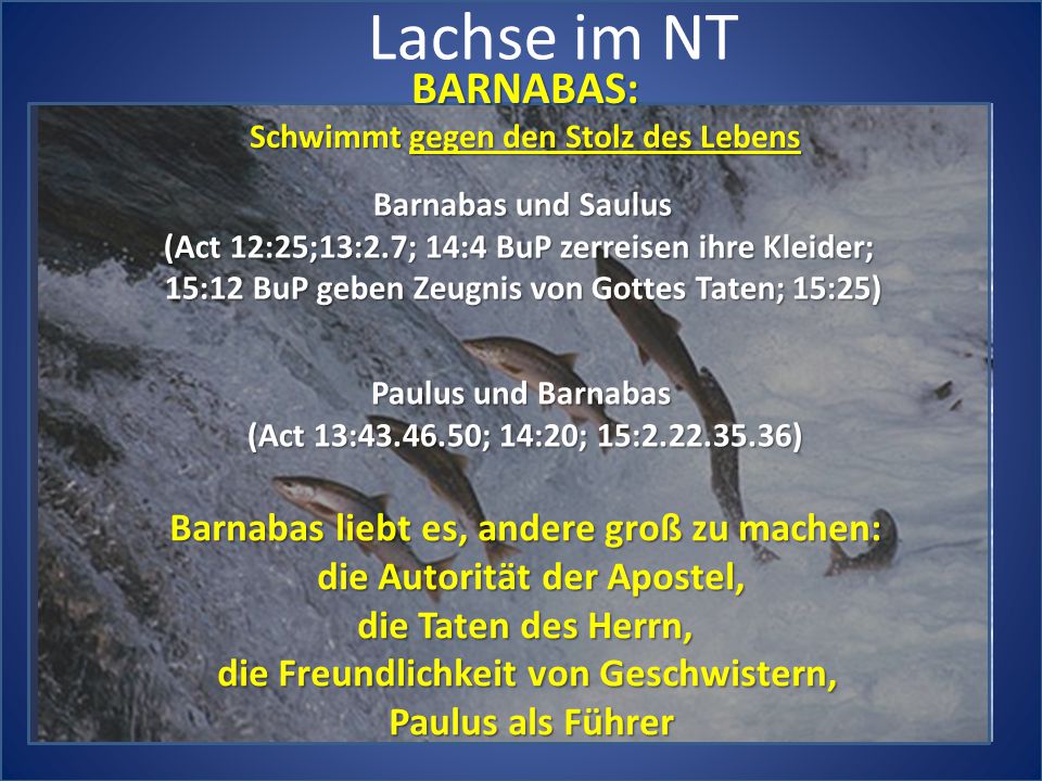 Lachse im NT BARNABAS: Barnabas liebt es, andere groß zu machen: