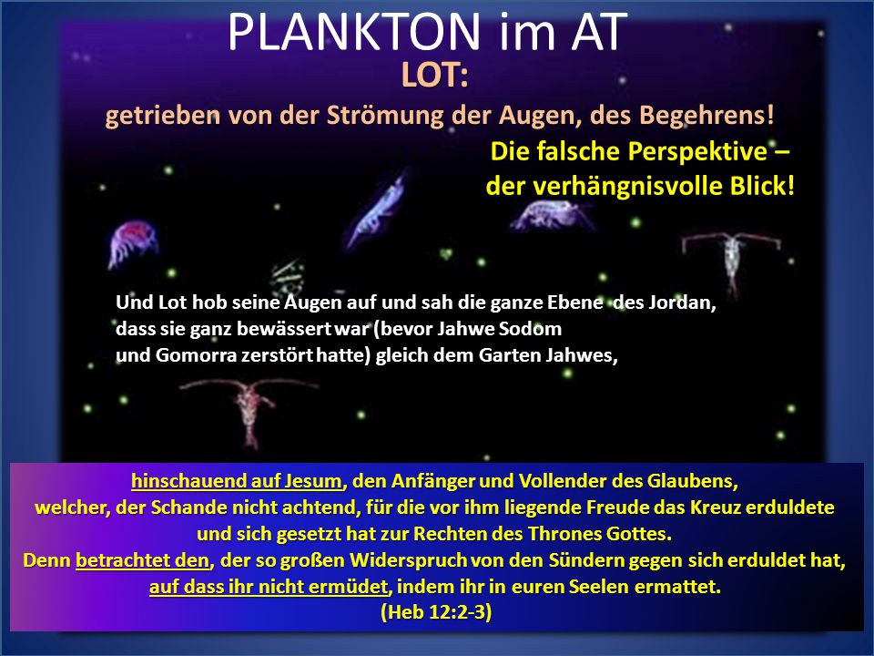 PLANKTON im AT LOT: getrieben von der Strömung der Augen, des Begehrens! Die falsche Perspektive –