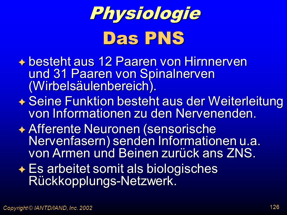 Physiologie Das PNS. besteht aus 12 Paaren von Hirnnerven und 31 Paaren von Spinalnerven (Wirbelsäulenbereich).
