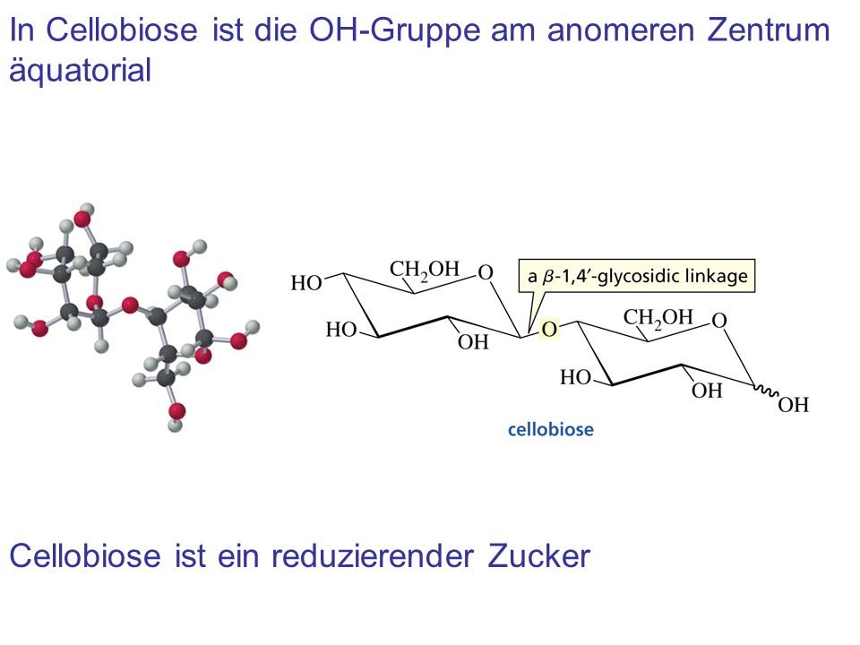 In Cellobiose ist die OH-Gruppe am anomeren Zentrum äquatorial