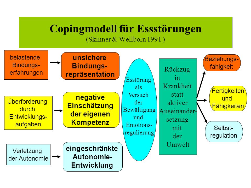 Copingmodell für Essstörungen (Skinner & Wellborn 1991 )