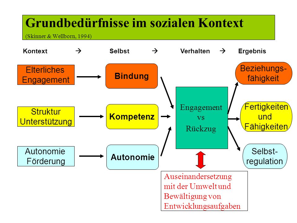 Grundbedürfnisse im sozialen Kontext (Skinner & Wellborn, 1994)