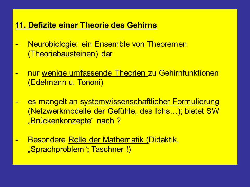 11. Defizite einer Theorie des Gehirns