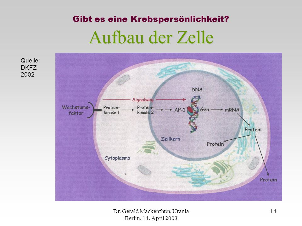 Aufbau der Zelle Gibt es eine Krebspersönlichkeit Quelle: DKFZ 2002