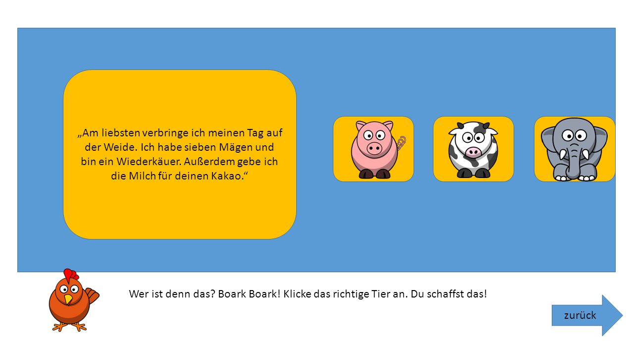 „Am liebsten verbringe ich meinen Tag auf der Weide