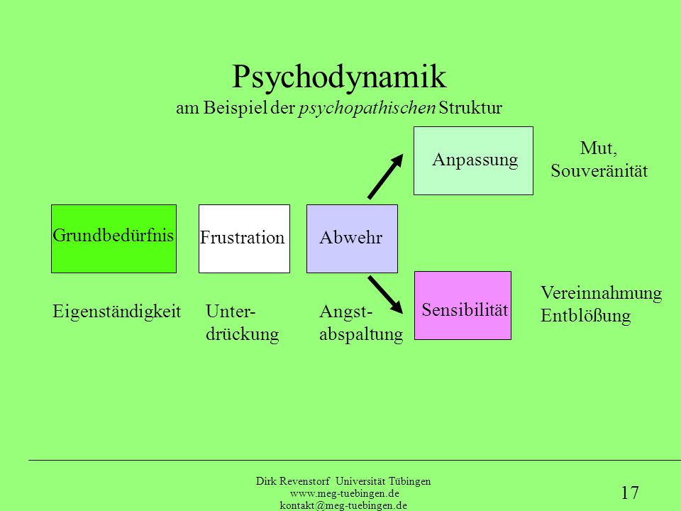 am Beispiel der psychopathischen Struktur