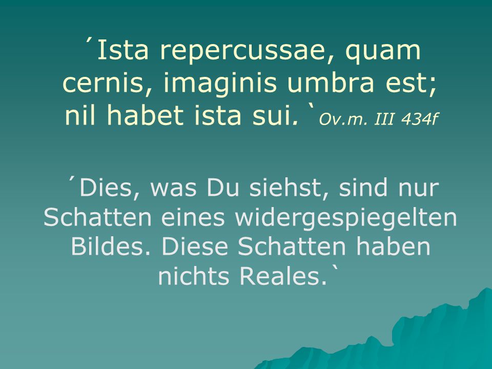 ´Ista repercussae, quam cernis, imaginis umbra est; nil habet ista sui