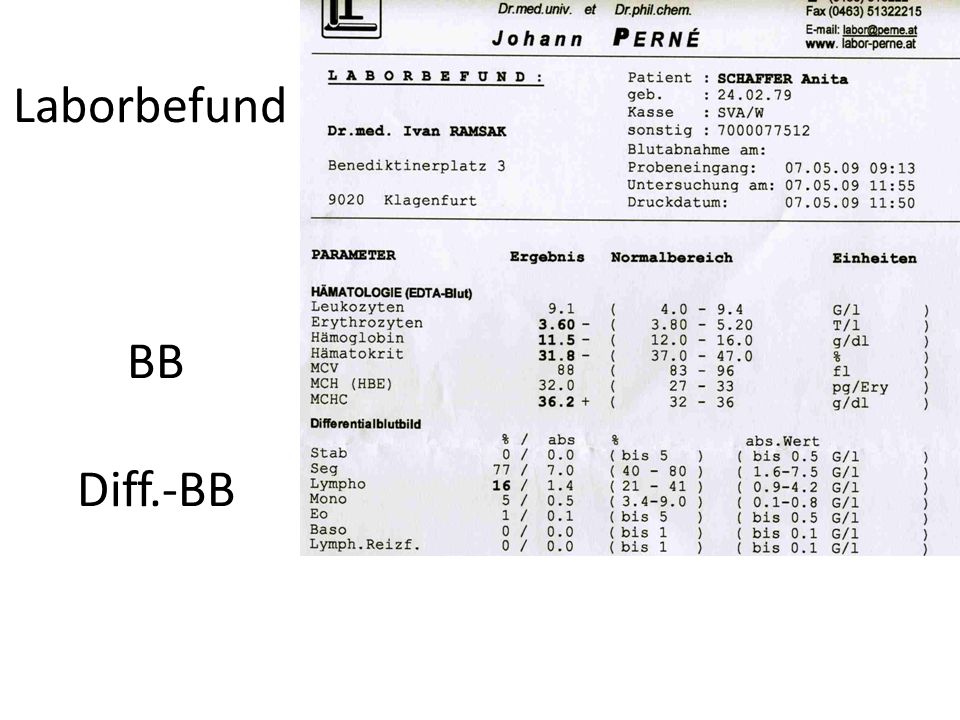 Laborbefund BB Diff.-BB