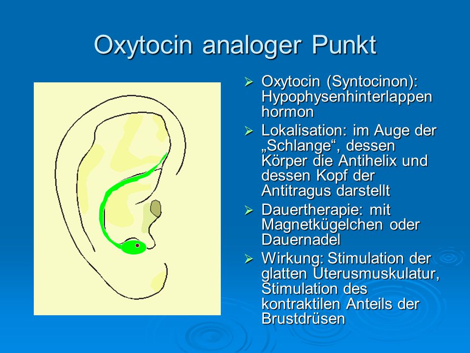 Oxytocin analoger Punkt