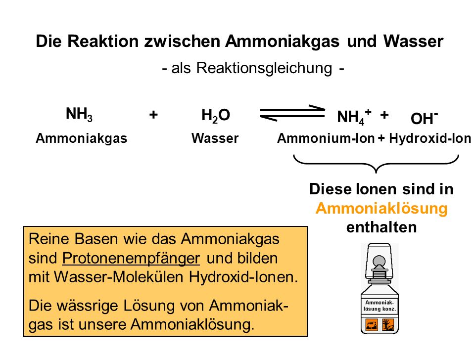 Die Reaktion zwischen Ammoniakgas und Wasser