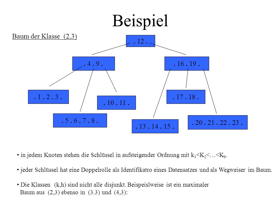 Beispiel Baum der Klasse (2,3)