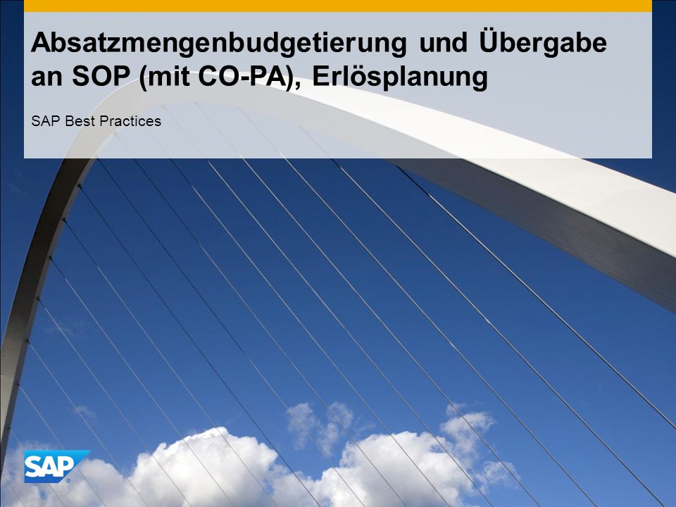Absatzmengenbudgetierung und Übergabe an SOP (mit CO-PA), Erlösplanung