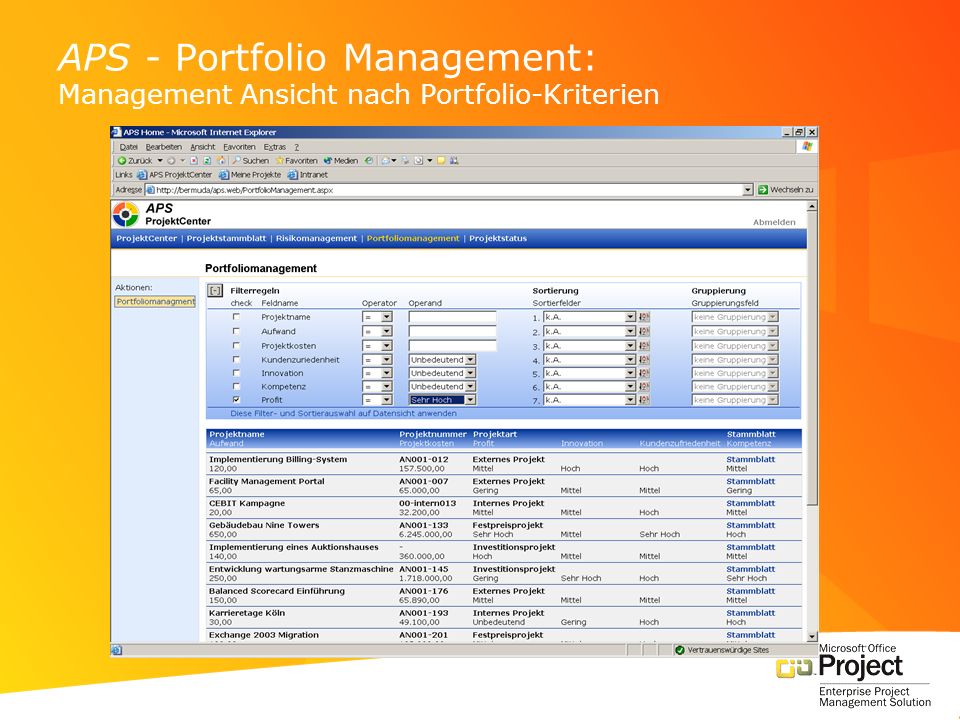 APS - Portfolio Management: Management Ansicht nach Portfolio-Kriterien