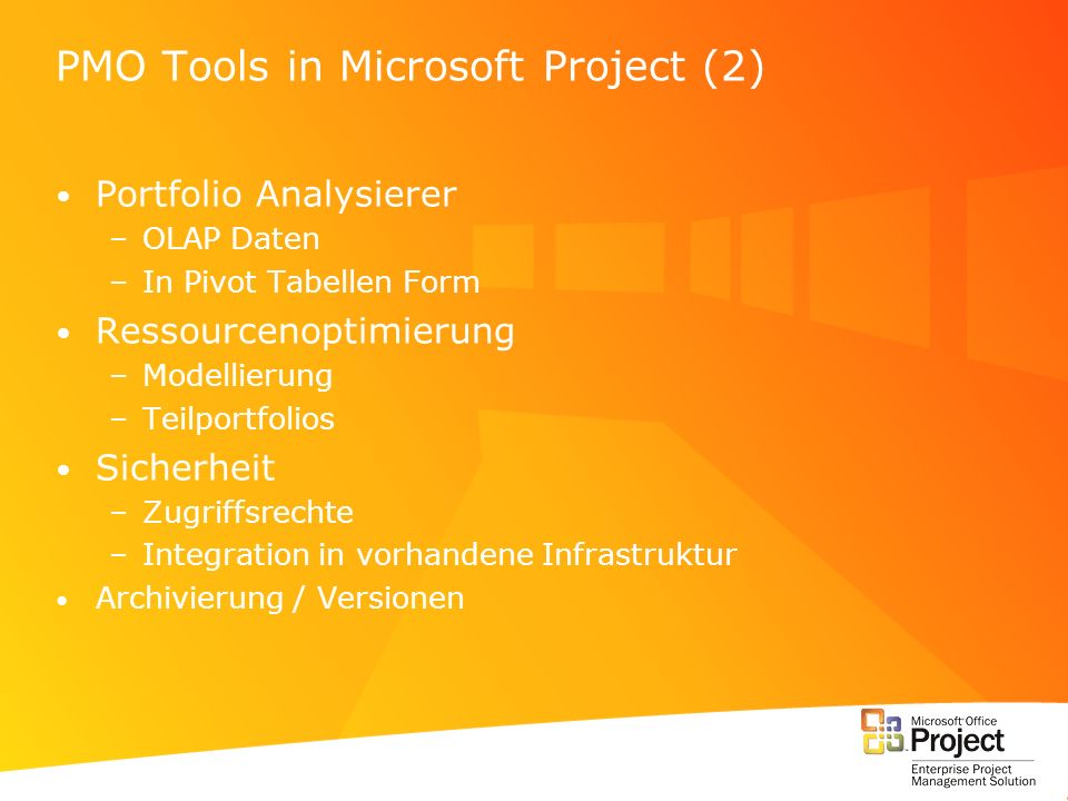 PMO Tools in Microsoft Project (2)
