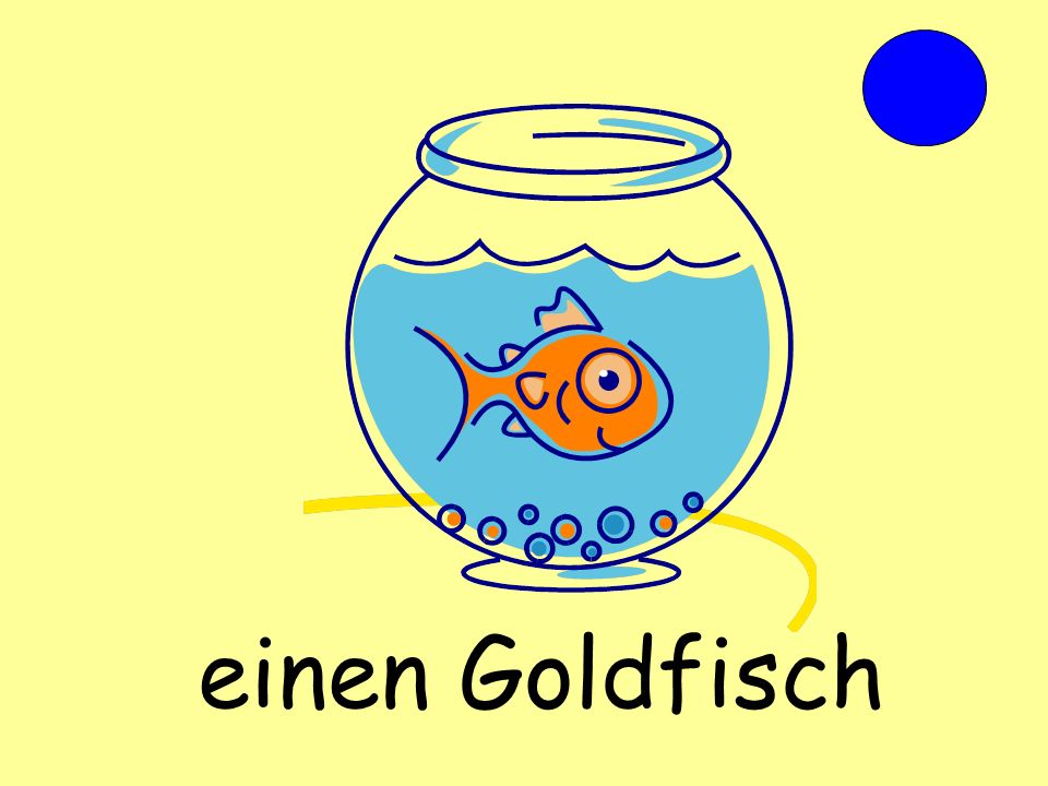 einen Goldfisch
