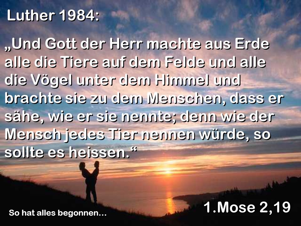 Luther 1984: