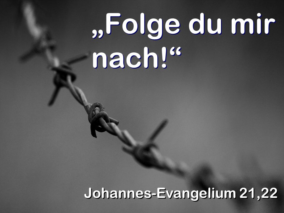 „Folge du mir nach! Johannes-Evangelium 21,22