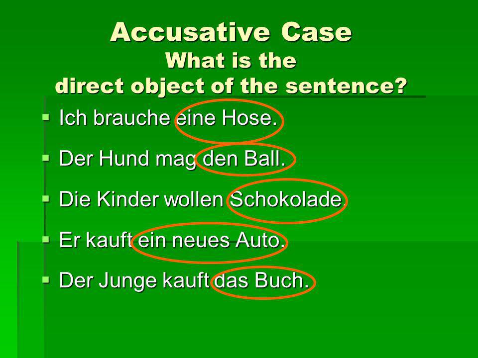 Accusative Case What is the direct object of the sentence