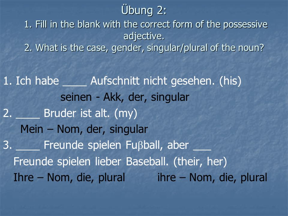 Übung 2: 1. Fill in the blank with the correct form of the possessive adjective. 2. What is the case, gender, singular/plural of the noun