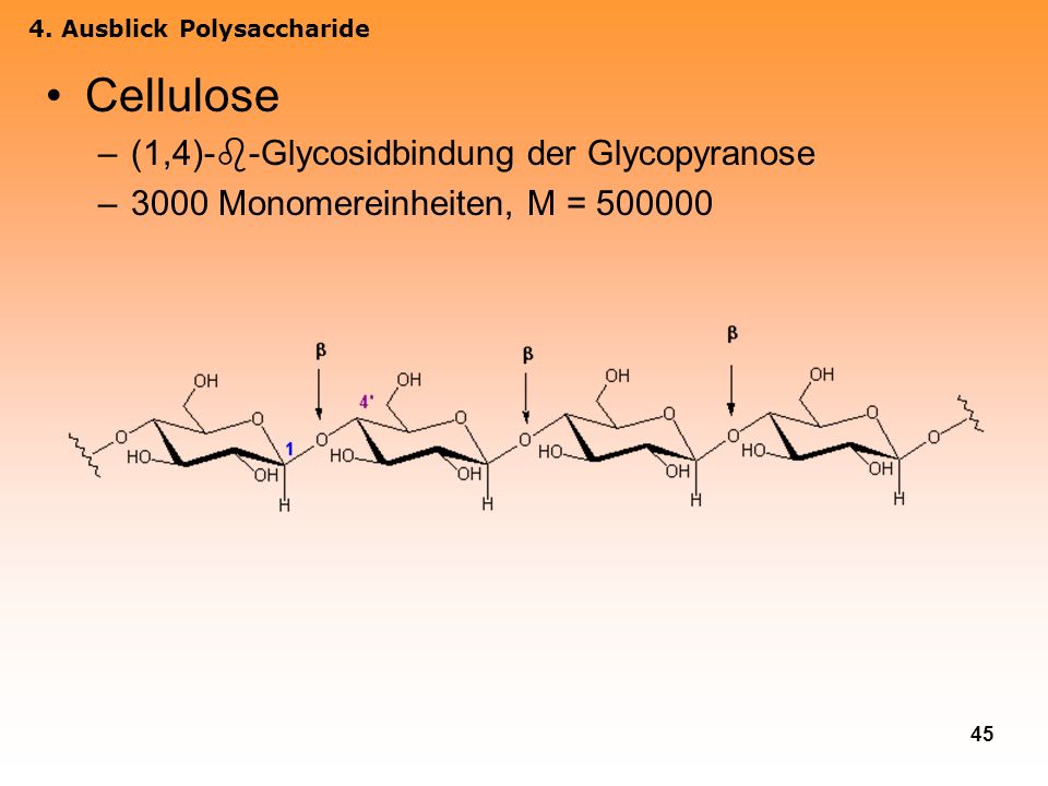 Cellulose (1,4)--Glycosidbindung der Glycopyranose
