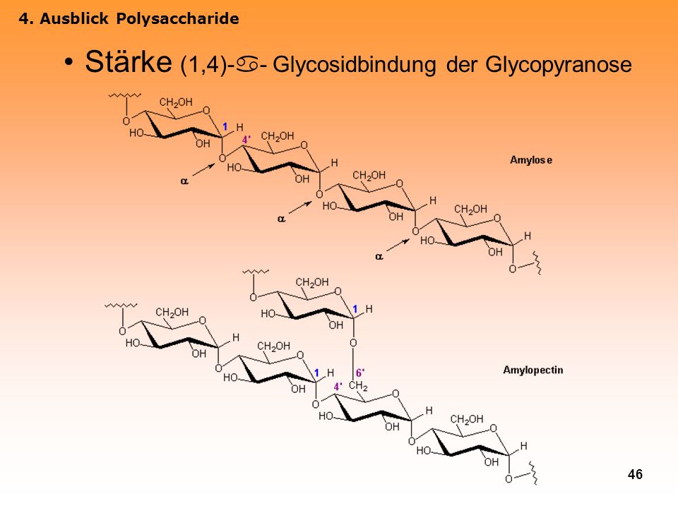 Stärke (1,4)-- Glycosidbindung der Glycopyranose