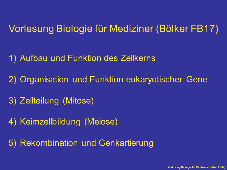 Vorlesung Biologie für Mediziner (Bölker FB17)