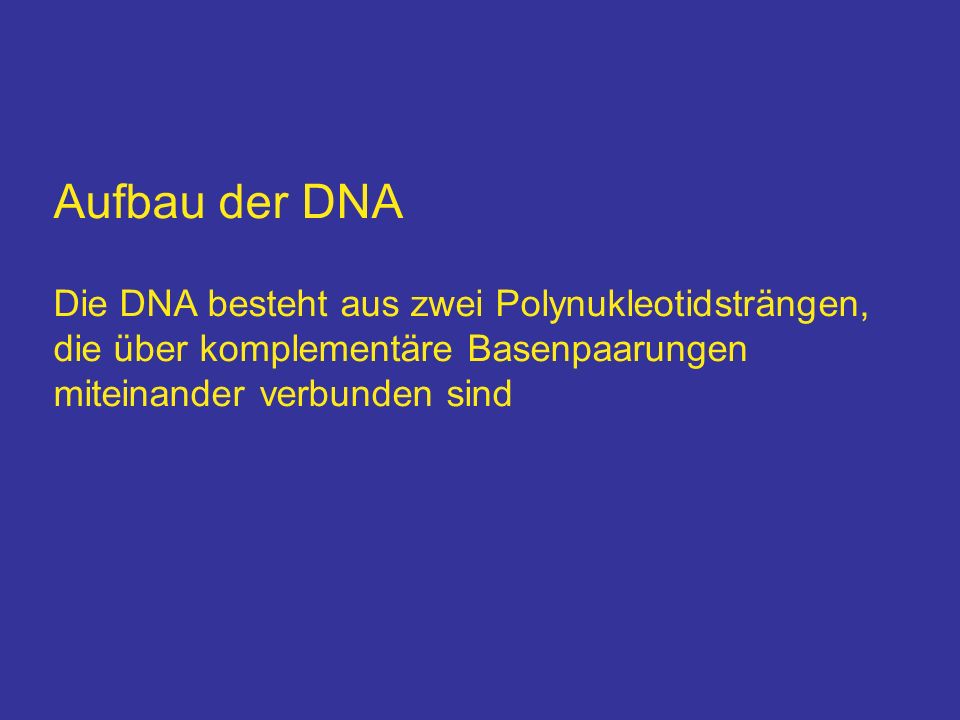 Aufbau der DNA Die DNA besteht aus zwei Polynukleotidsträngen,