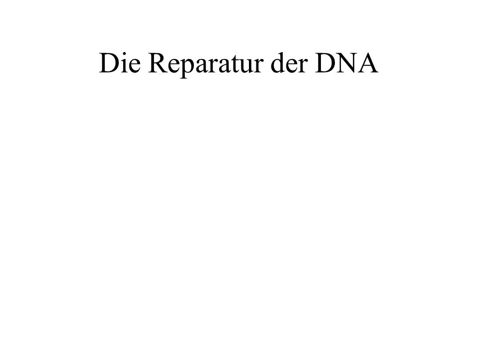 Die Reparatur der DNA