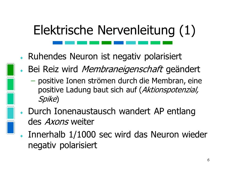 Elektrische Nervenleitung (1)