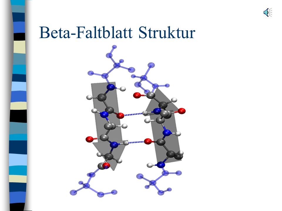 Beta-Faltblatt Struktur