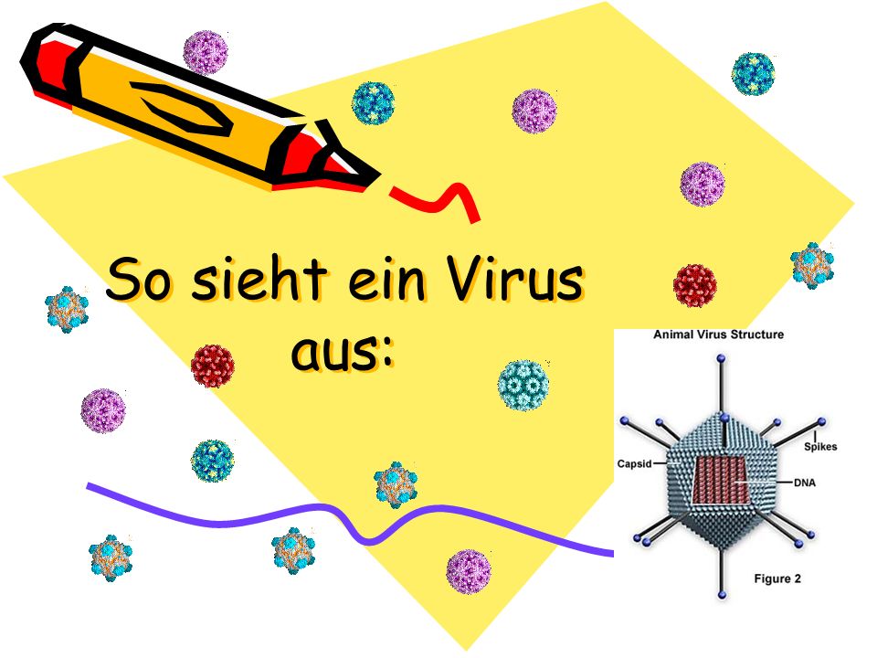 So sieht ein Virus aus: