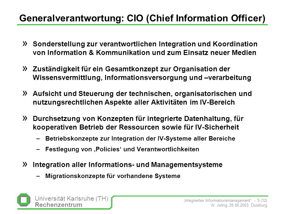 Generalverantwortung: CIO (Chief Information Officer)