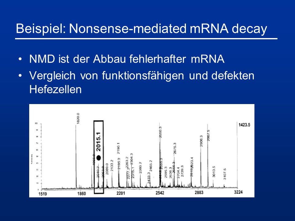Beispiel: Nonsense-mediated mRNA decay