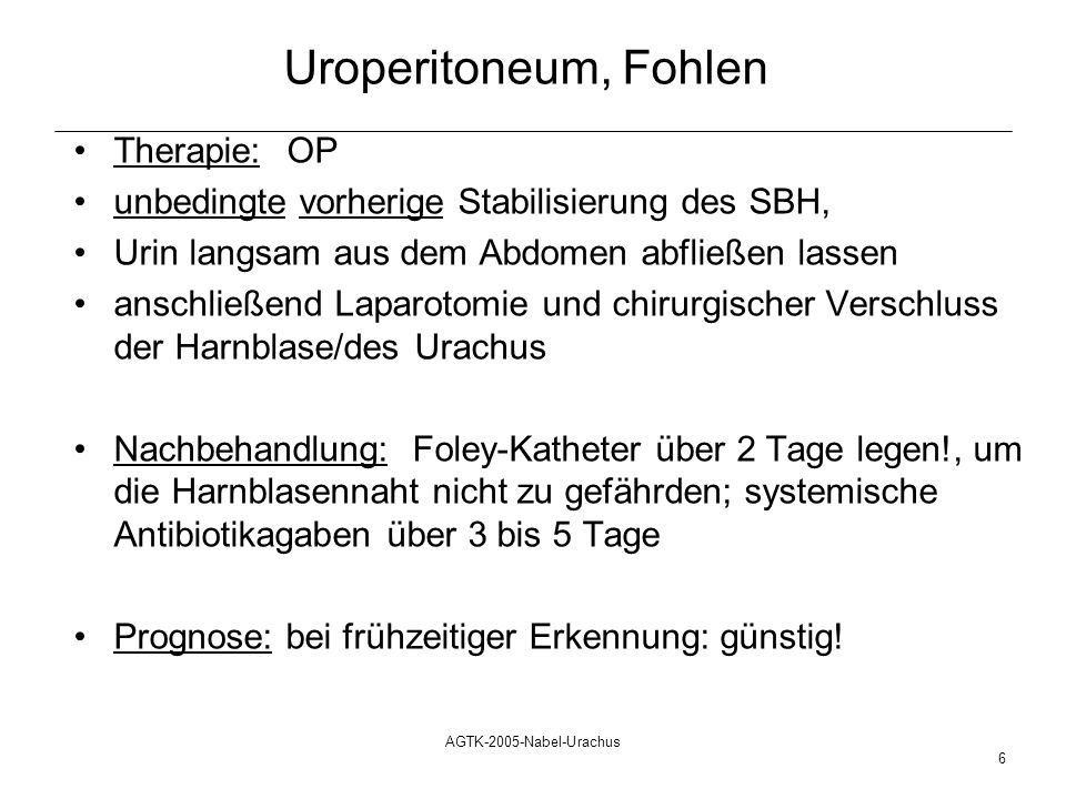 Uroperitoneum, Fohlen Therapie: OP