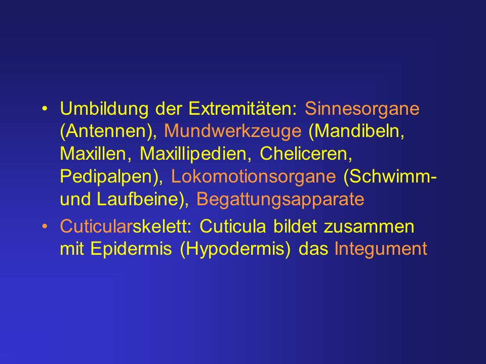 Umbildung der Extremitäten: Sinnesorgane (Antennen), Mundwerkzeuge (Mandibeln, Maxillen, Maxillipedien, Cheliceren, Pedipalpen), Lokomotionsorgane (Schwimm- und Laufbeine), Begattungsapparate