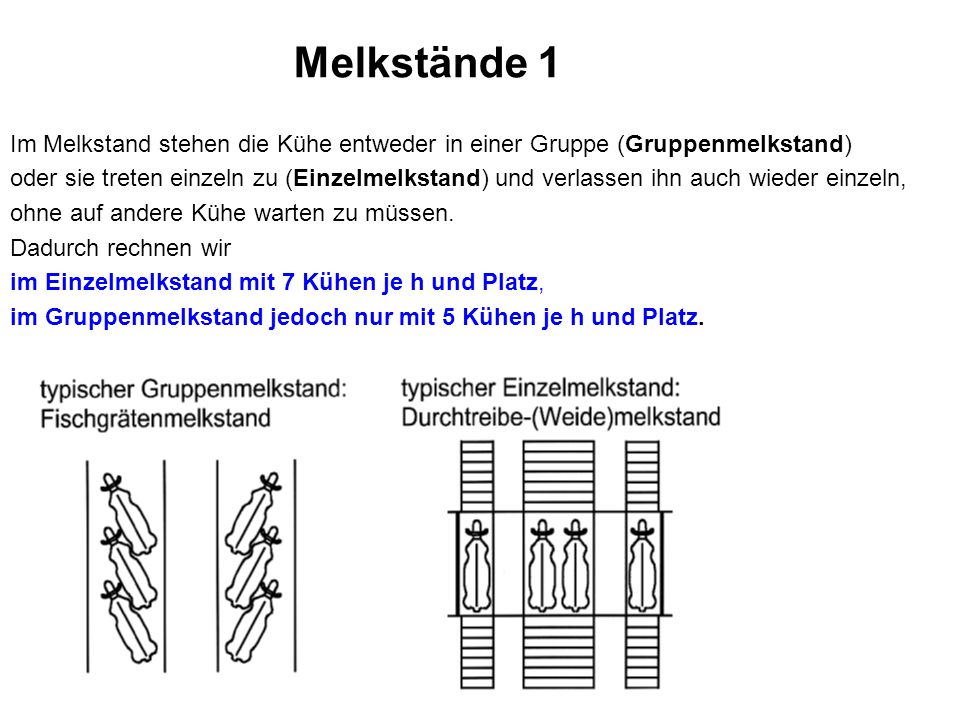 ………nein, der Bauer / das Kalb nehmen sie ihr einfach weg!!!
