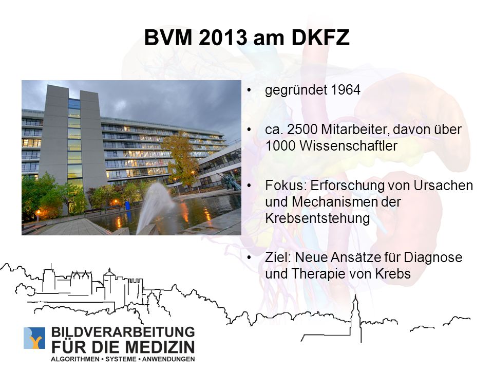 BVM 2013 am DKFZ gegründet ca Mitarbeiter, davon über 1000 Wissenschaftler.