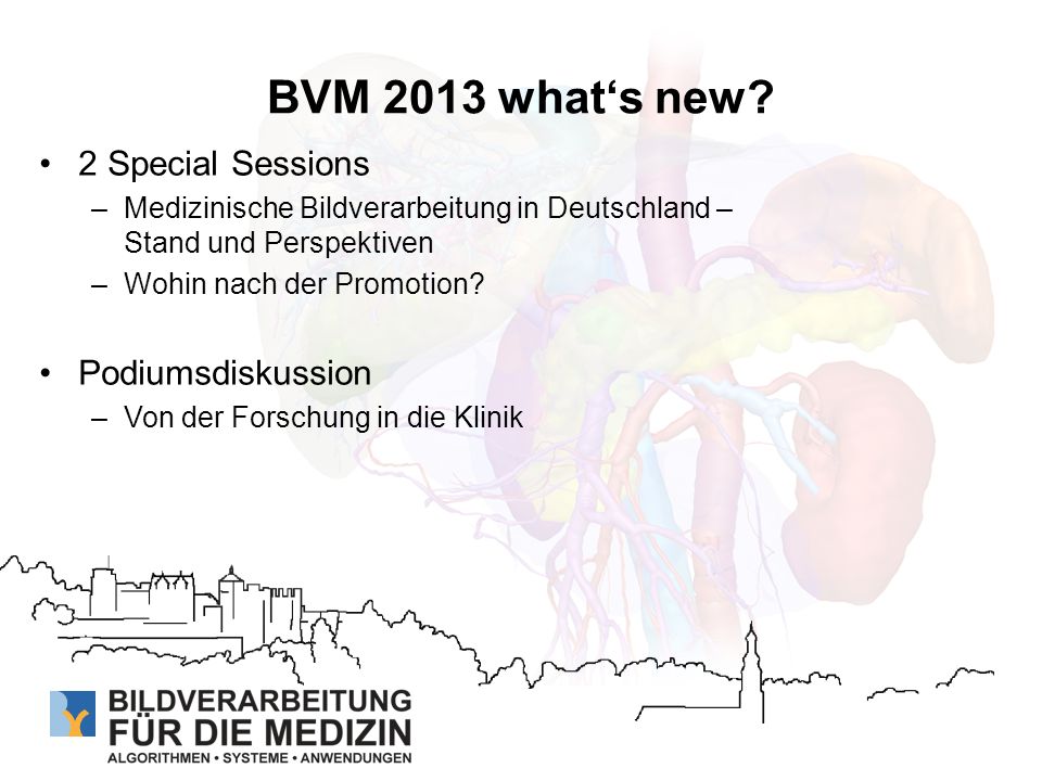 BVM 2013 what‘s new 2 Special Sessions Podiumsdiskussion