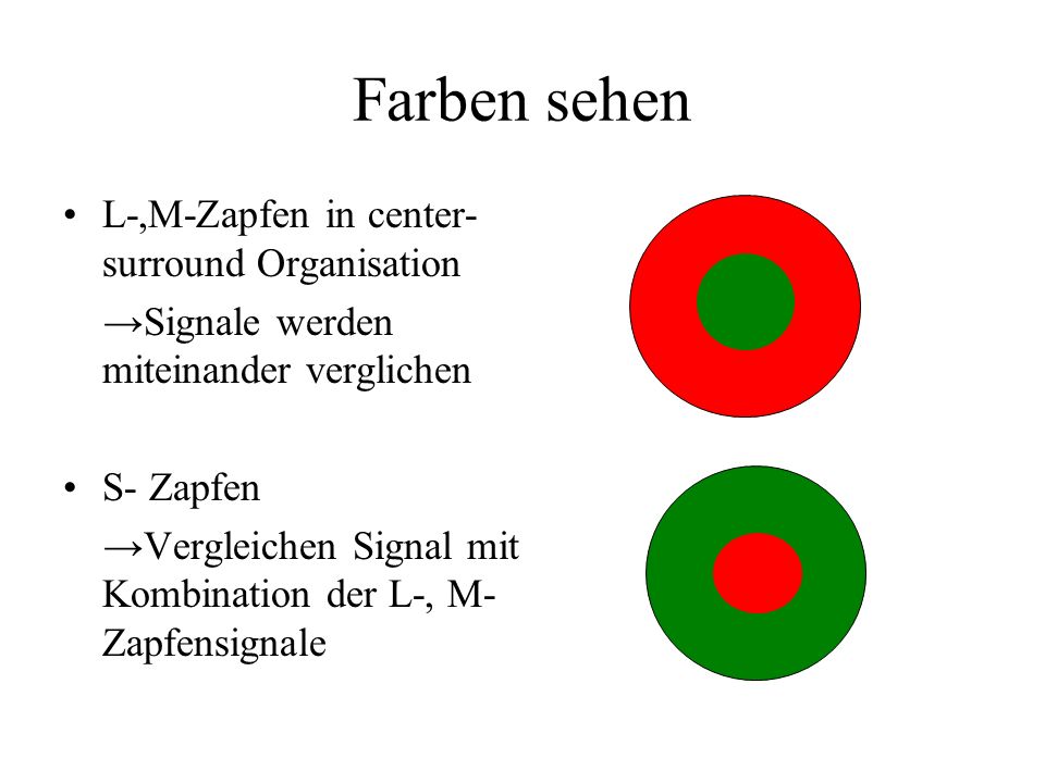 Farben sehen L-,M-Zapfen in center-surround Organisation