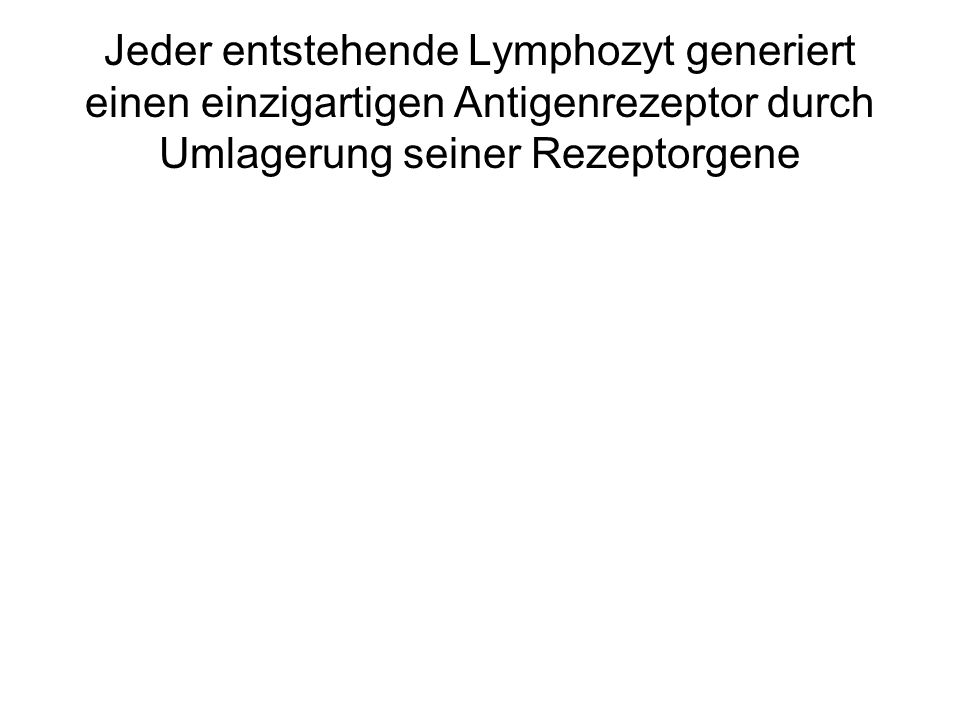 Jeder entstehende Lymphozyt generiert einen einzigartigen Antigenrezeptor durch Umlagerung seiner Rezeptorgene