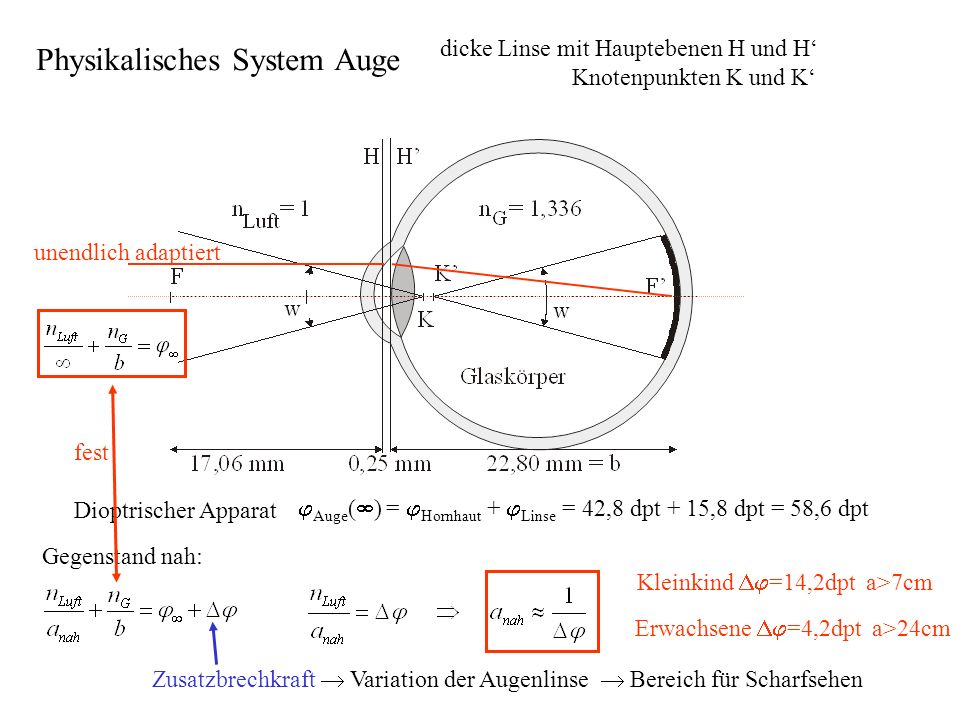 Physikalisches System Auge