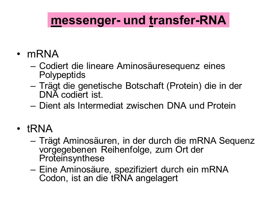 messenger- und transfer-RNA