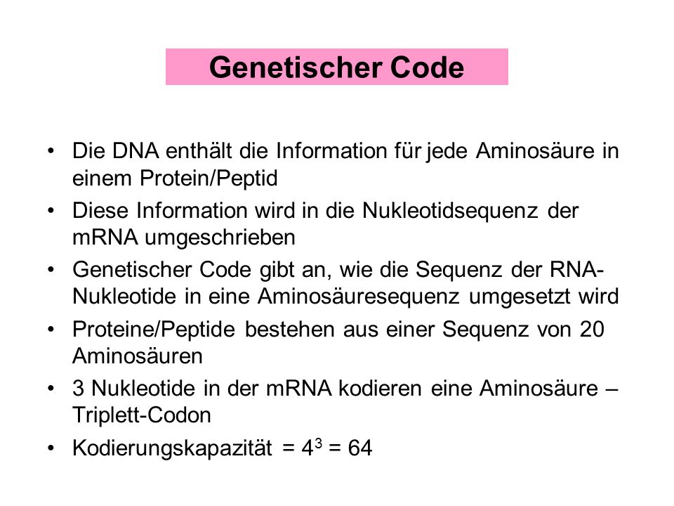 Genetischer Code Die DNA enthält die Information für jede Aminosäure in einem Protein/Peptid.