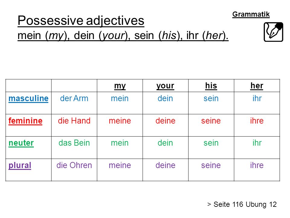 Possessive adjectives mein (my), dein (your), sein (his), ihr (her).
