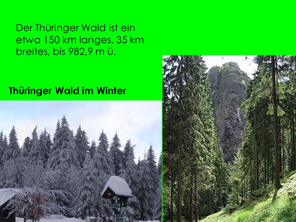 Der Thüringer Wald ist ein etwa 150 km langes, 35 km breites, bis 982,9 m ü.