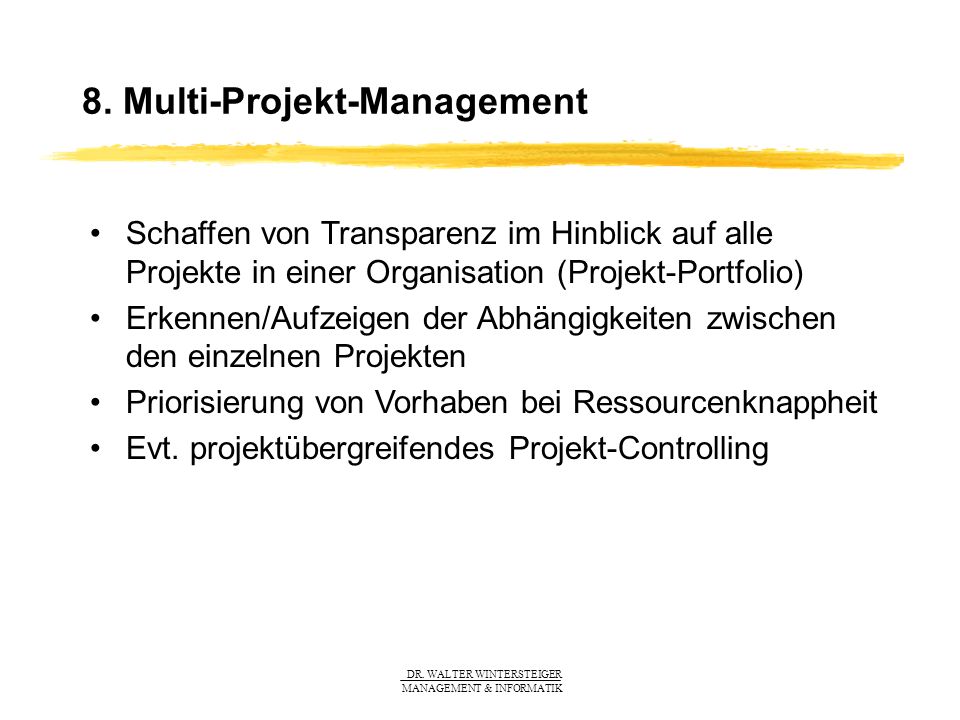 8. Multi-Projekt-Management