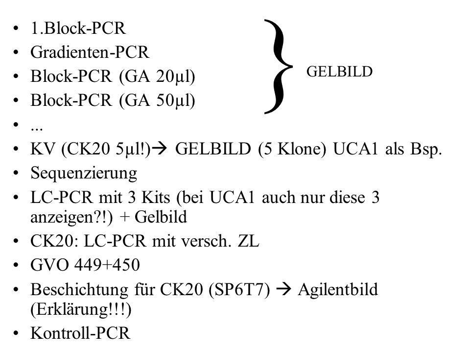 } 1.Block-PCR Gradienten-PCR Block-PCR (GA 20µl) Block-PCR (GA 50µl)