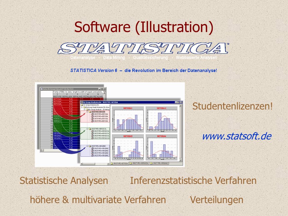 Software (Illustration)