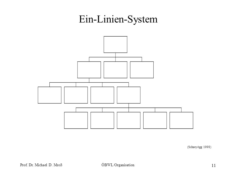 Ein-Linien-System Prof. Dr. Michael D. Mroß ÖBWL/Organisation