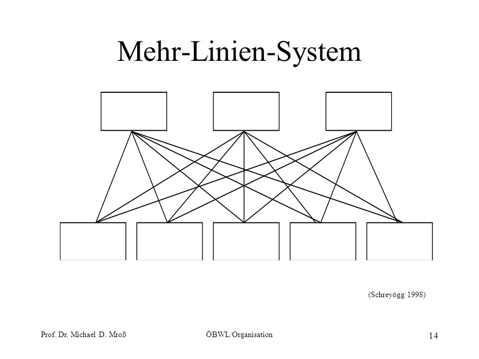 Mehr-Linien-System (Schreyögg 1998) Prof. Dr. Michael D. Mroß
